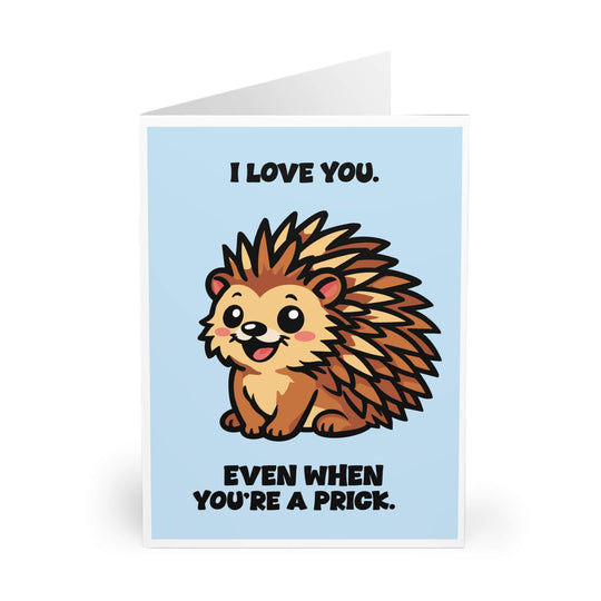 Cute cartoon porcupine illustration with the text “I love you even when you’re a prick,” playful kawaii animal art print on a clean background