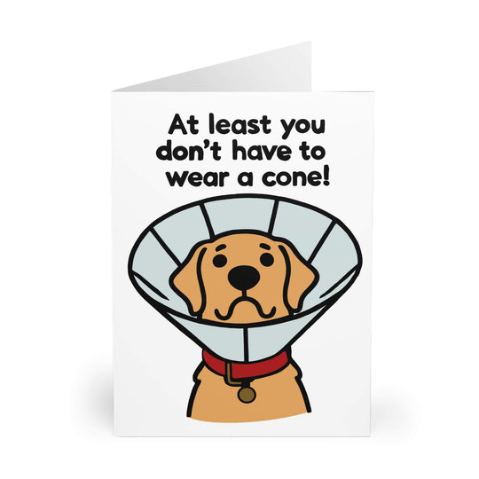 A greeting card with a cartoon illustration of a dog wearing a cone collar with the message &