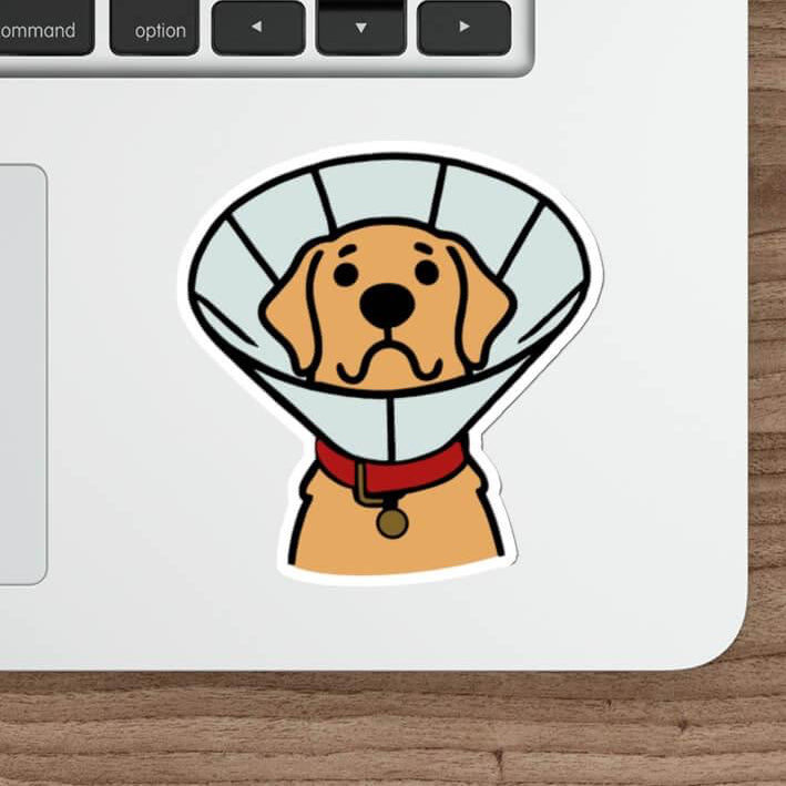 Dog with a cone collar sticker, featuring a cute, cartoon-style golden retriever with a red collar and a sad yet endearing expression, made from durable, waterproof material.