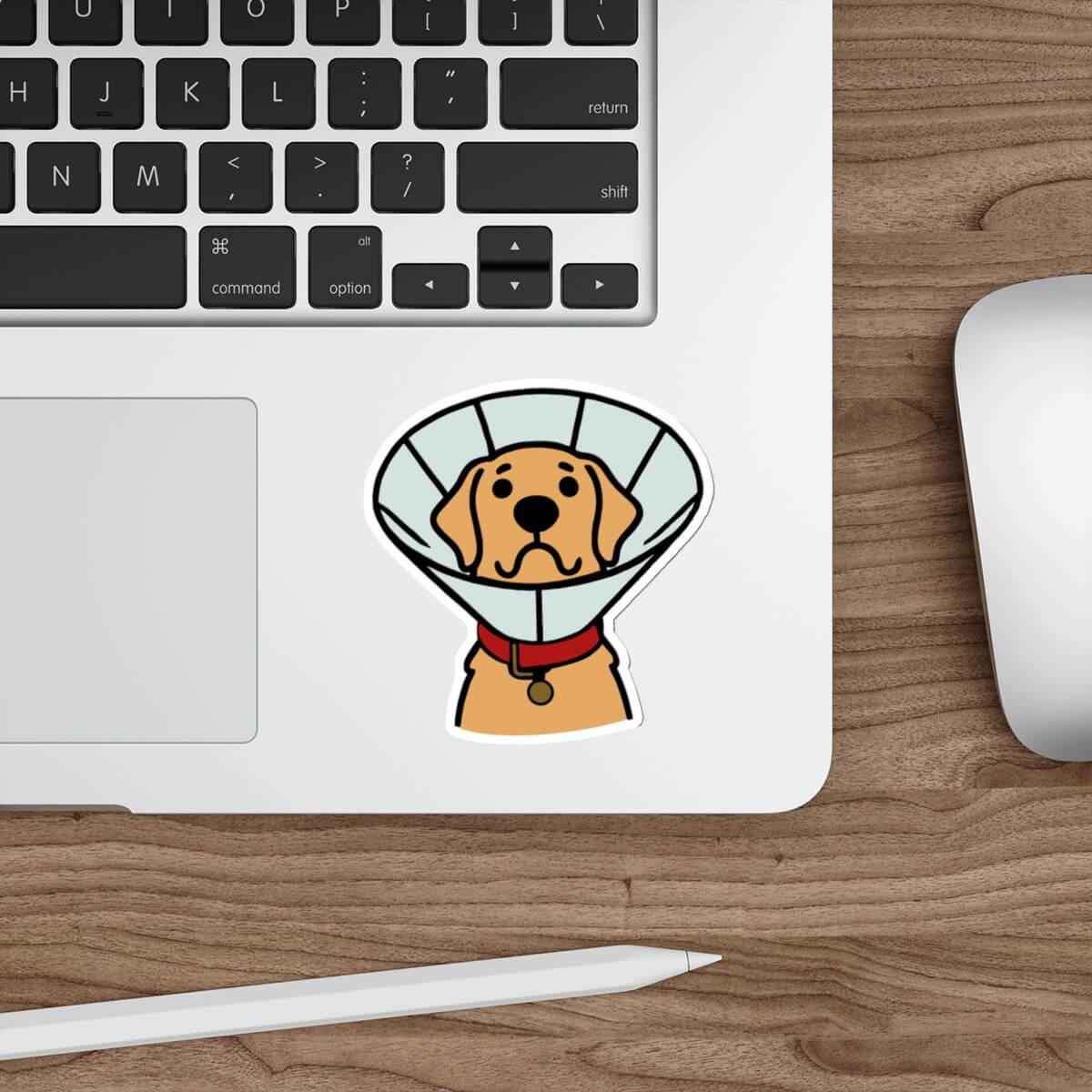 Dog with a cone collar sticker, featuring a cute, cartoon-style golden retriever with a red collar and a sad yet endearing expression, made from durable, waterproof material.