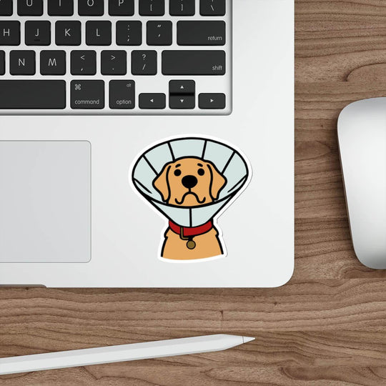 Dog with a cone collar sticker, featuring a cute, cartoon-style golden retriever with a red collar and a sad yet endearing expression, made from durable, waterproof material.
